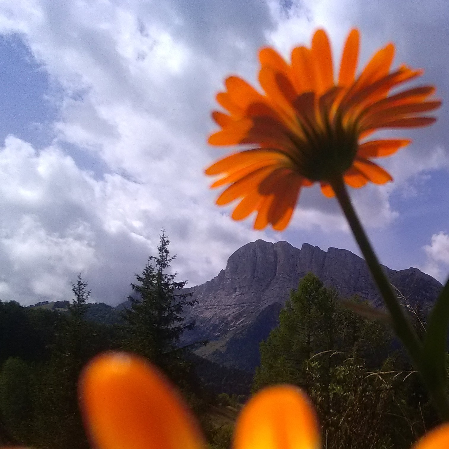 Photo d’Yves CALVEZ