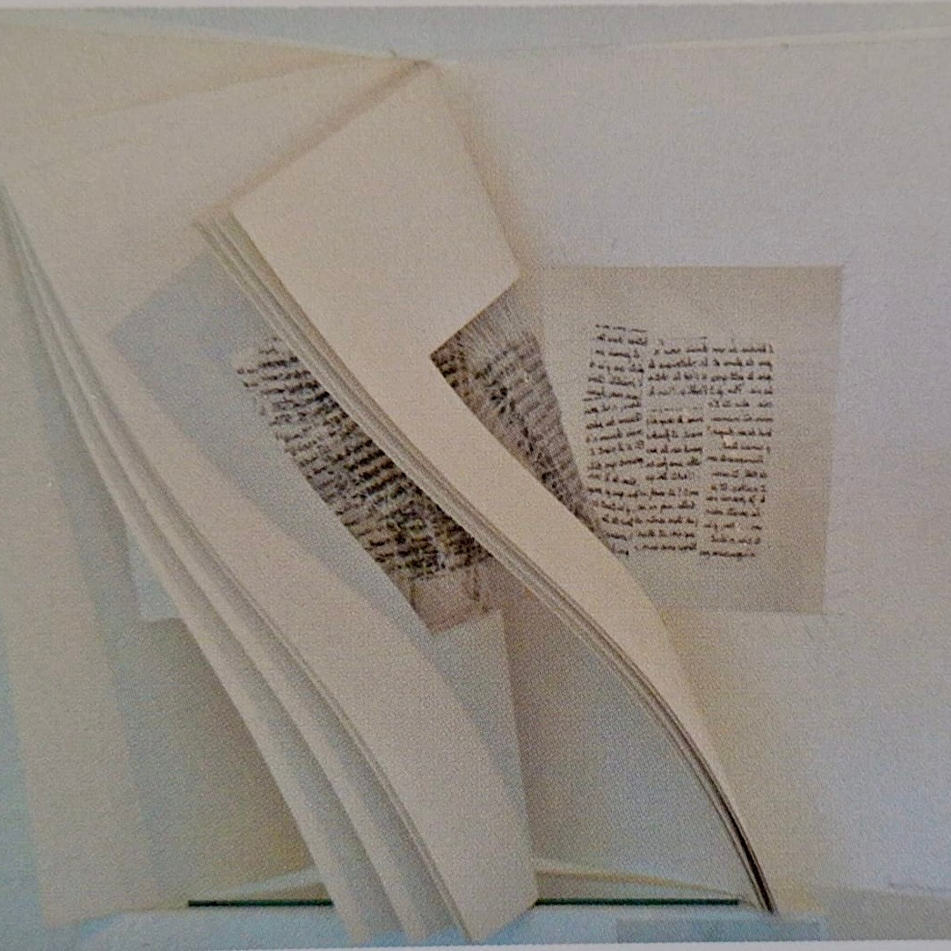 Photo de Betsie PEQUIGNOT